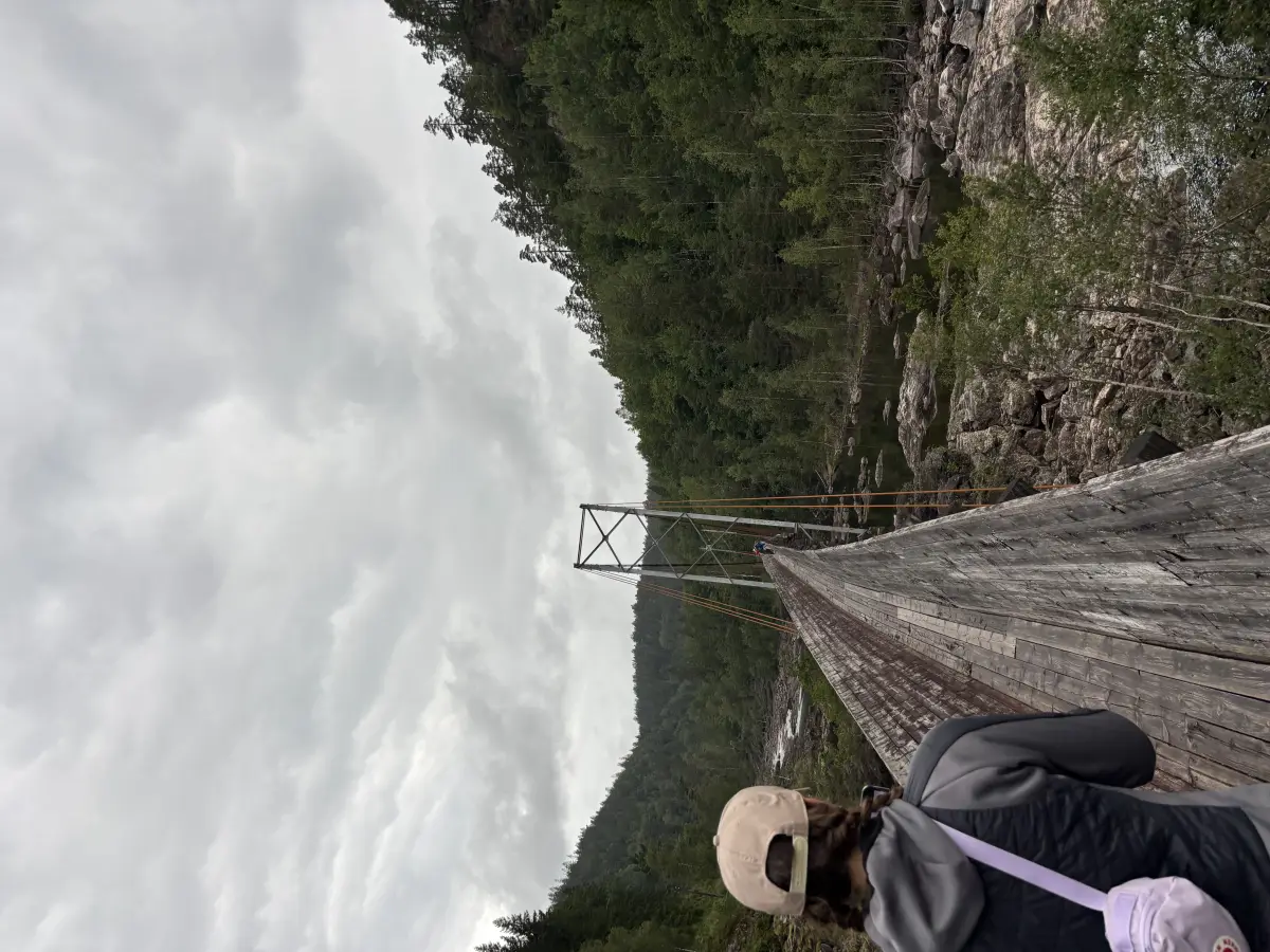 Steinsfoss Lumber Slide
