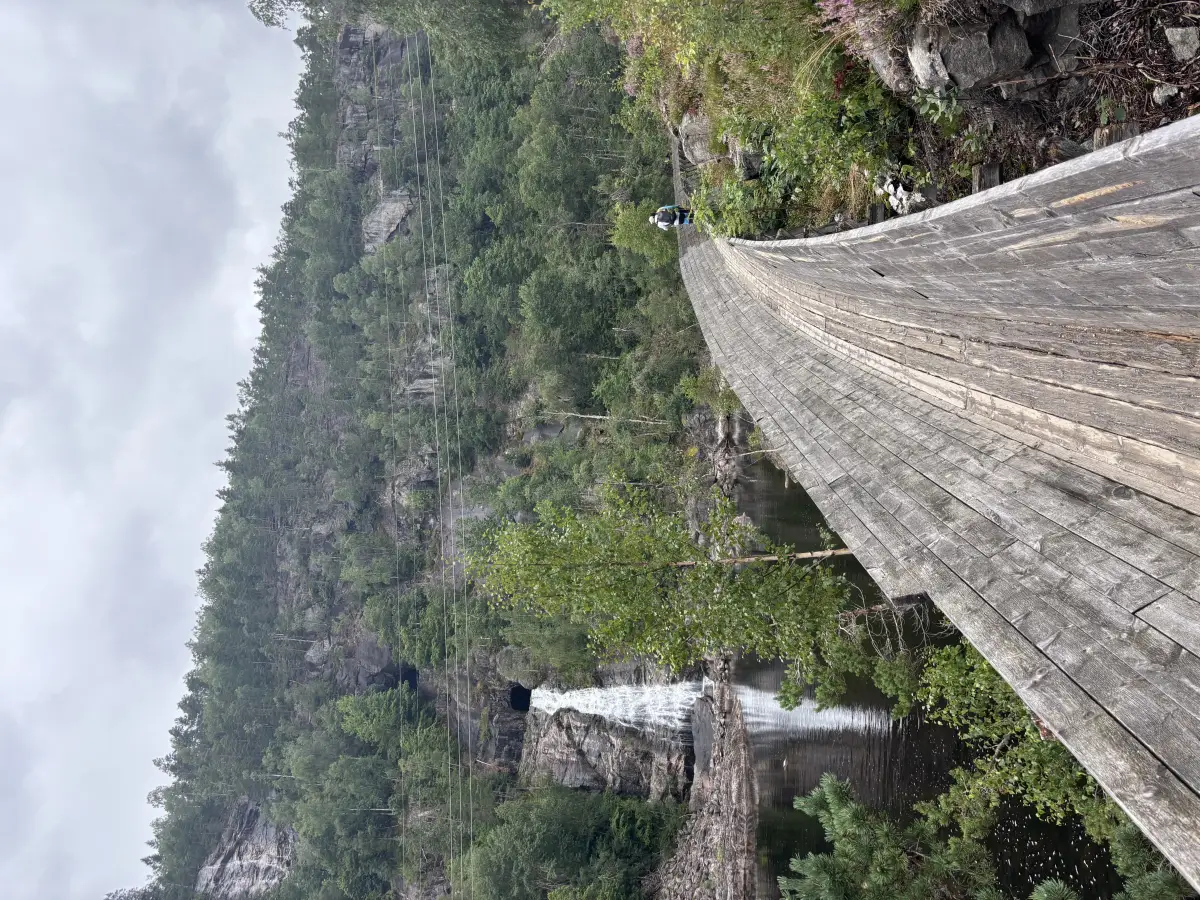 Steinsfoss Lumber Slide