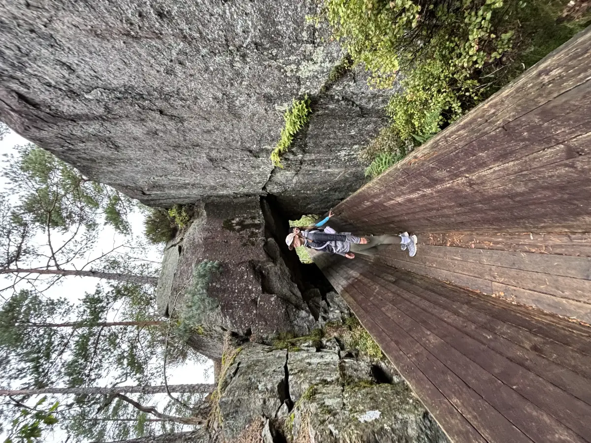 Steinsfoss Lumber Slide