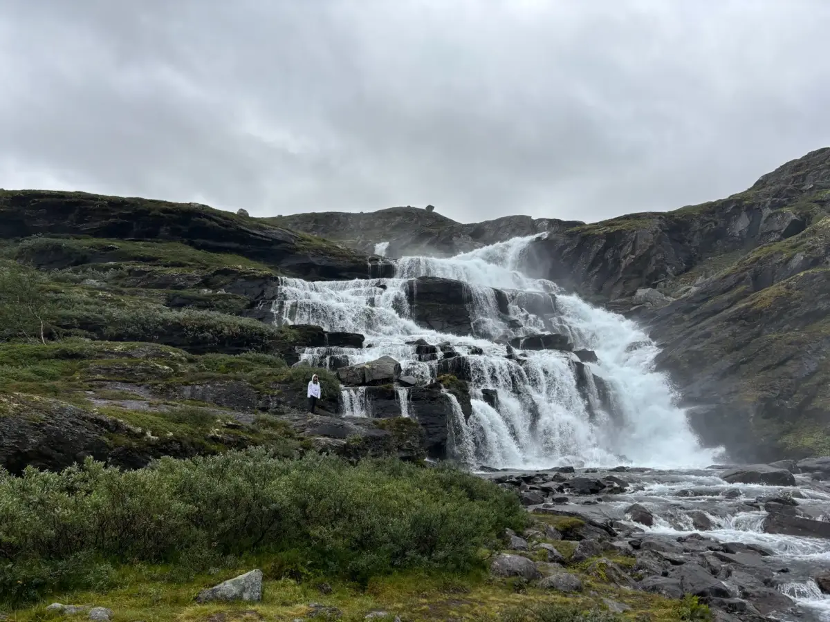 Skarvåga